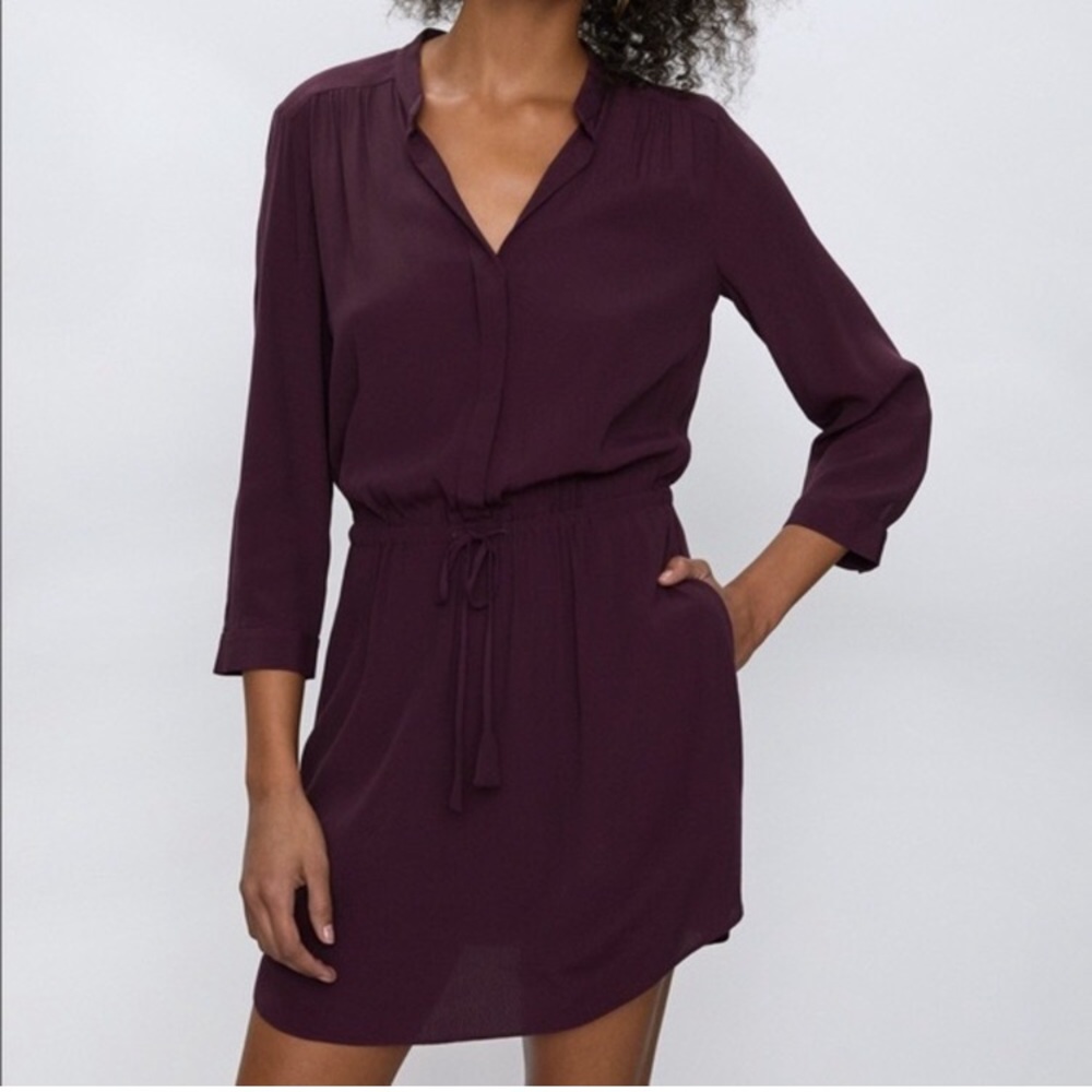 Aritzia 100% Silk Dress
